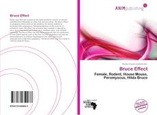 Capa do livro de Bruce Effect 