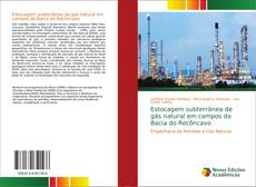 Bookcover of Estocagem subterrânea de gás natural em campos da Bacia do Recôncavo