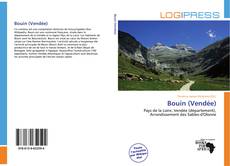 Bookcover of Bouin (Vendée)