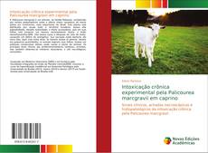 Capa do livro de Intoxicação crônica experimental pela Palicourea marcgravii em caprino 