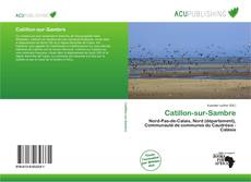 Copertina di Catillon-sur-Sambre