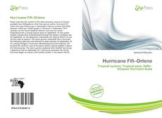 Buchcover von Hurricane Fifi–Orlene