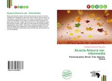 Copertina di Acacia Aneura var. intermedia