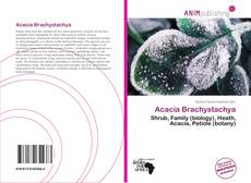 Capa do livro de Acacia Brachystachya 