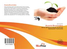 Borítókép a  Acacia Brunioides - hoz