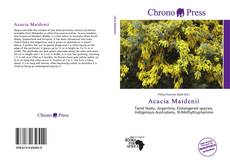 Buchcover von Acacia Maidenii