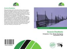 Acacia Dealbata kitap kapağı