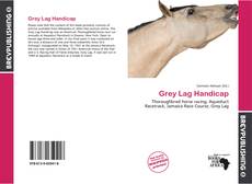 Buchcover von Grey Lag Handicap