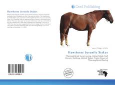 Bookcover of Hawthorne Juvenile Stakes