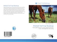 Bookcover of Hialeah Turf Cup Handicap