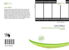 Buchcover von John Wiles