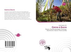 Portada del libro de Canne à Sucre