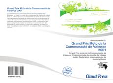 Grand Prix Moto de la Communauté de Valence 2001 kitap kapağı