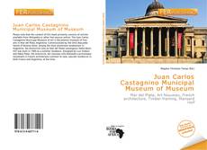 Bookcover of Juan Carlos Castagnino Municipal Museum of Museum