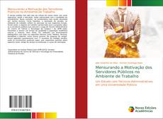 Mensurando a Motivação dos Servidores Públicos no Ambiente de Trabalho的封面