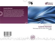 Lucerne Hammer的封面