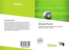 Mickaël Pontal kitap kapağı