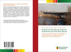 Análise do Estudo de Impacto Ambiental da UHE Belo Monte的封面