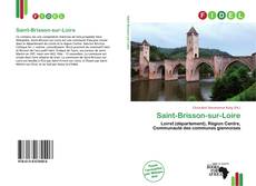 Copertina di Saint-Brisson-sur-Loire