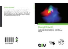 Bookcover of Hidajet Biščević