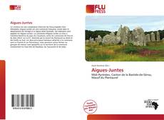 Aigues-Juntes kitap kapağı