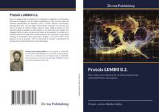 Protais LUMBU II.2. kitap kapağı