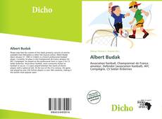 Bookcover of Albert Budak