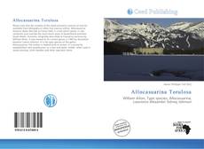 Bookcover of Allocasuarina Torulosa