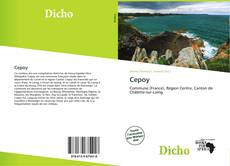 Cepoy的封面