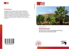 Buchcover von Grosrouvre