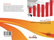 Bookcover of CSI 300 Index