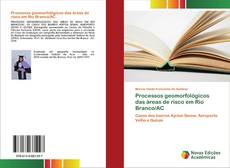 Buchcover von Processos geomorfológicos das áreas de risco em Rio Branco/AC