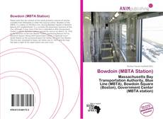 Buchcover von Bowdoin (MBTA Station)