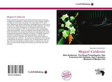 Capa do livro de Miguel Calderón 