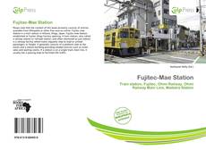 Buchcover von Fujitec-Mae Station