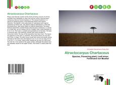 Atractocarpus Chartaceus的封面