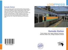Kameda Station kitap kapağı