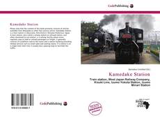 Capa do livro de Kamedake Station 