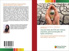 Capa do livro de Uso do lodo de ETA em massa argilosa, para produção de tijolo cerâmico 