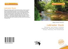 Bookcover of Labrador Duck