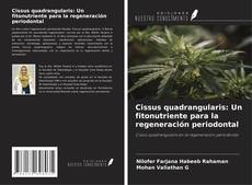 Portada del libro de Cissus quadrangularis: Un fitonutriente para la regeneración periodontal
