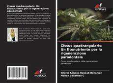 Bookcover of Cissus quadrangularis: Un fitonutriente per la rigenerazione parodontale