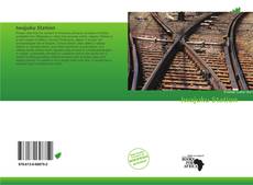 Copertina di Iwajuku Station