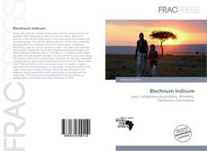 Copertina di Blechnum Indicum