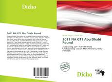 Copertina di 2011 FIA GT1 Abu Dhabi Round