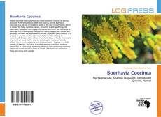 Boerhavia Coccinea kitap kapağı