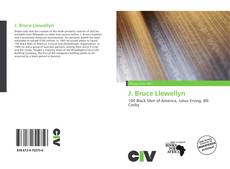 Bookcover of J. Bruce Llewellyn