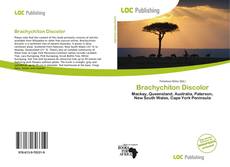 Copertina di Brachychiton Discolor