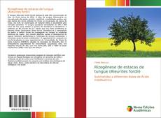 Capa do livro de Rizogênese de estacas de tungue (Aleurites fordii) 
