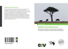 Bookcover of Bulbine Semibarbata